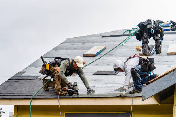 Professional Gutter Installation technician working in Ellerslie, MD